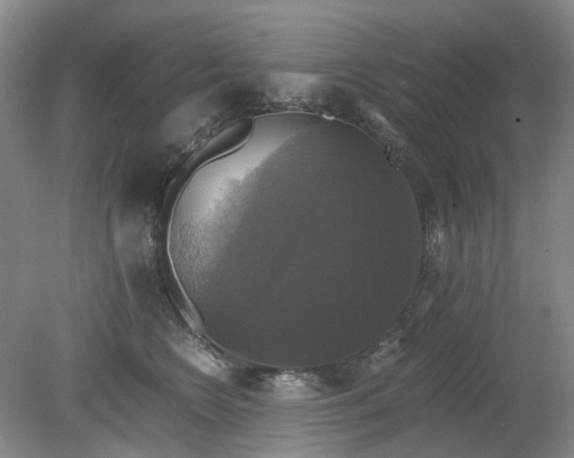 X0000079320566200612011845