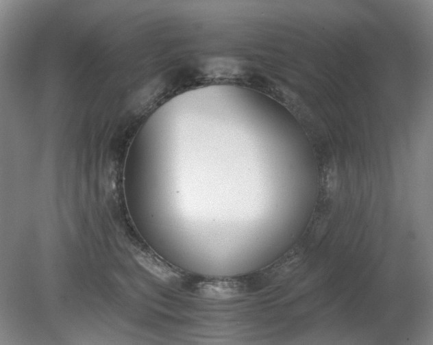 X0000079320567200612011845