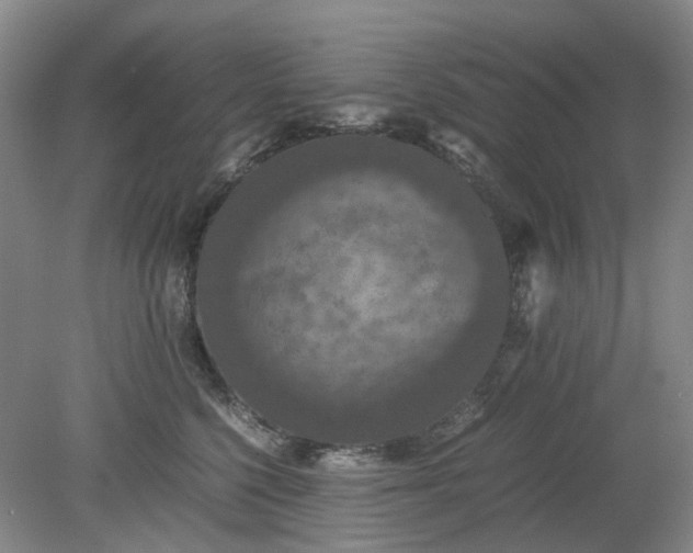 X0000079320568200612011845