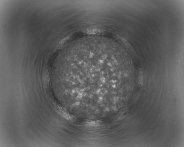 X0000079320569200612011845