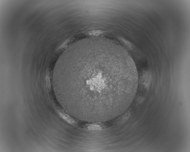 X0000079320572200612011845