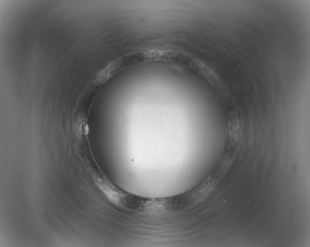 X0000079320574200612011845