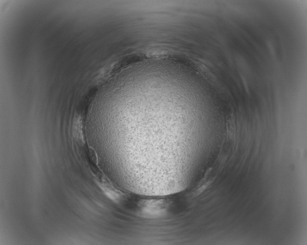 X0000079320575200612011845