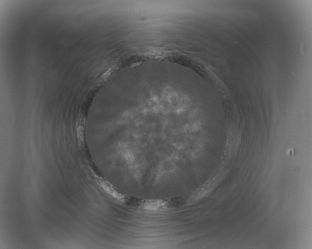 X0000079320576200612011845