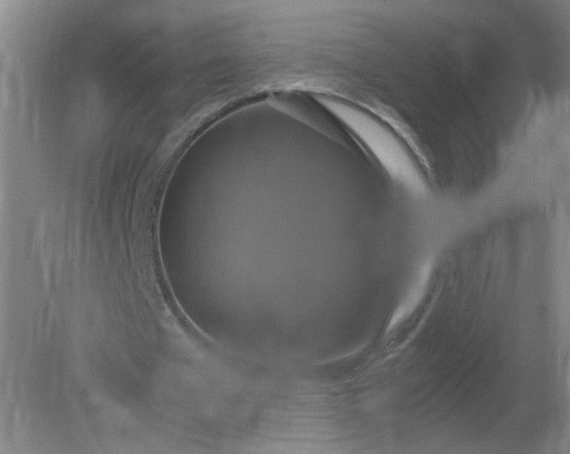 X0000079320577200612011844