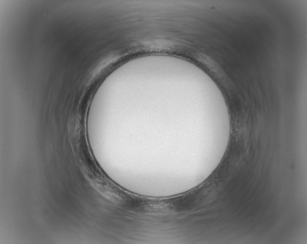 X0000079320583200612011844