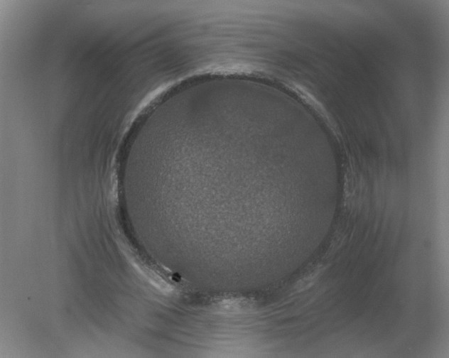 X0000079320584200612011844