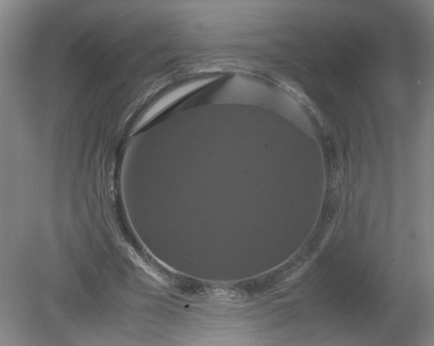 X0000079320585200612011844