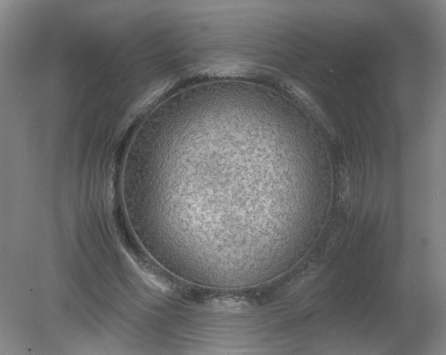 X0000079320586200612011844