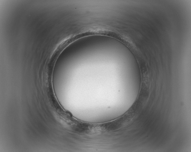 X0000079320587200612011844