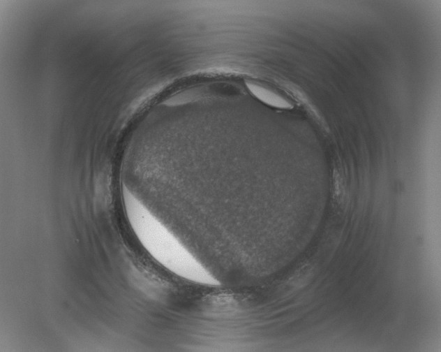 X0000079320588200612011844