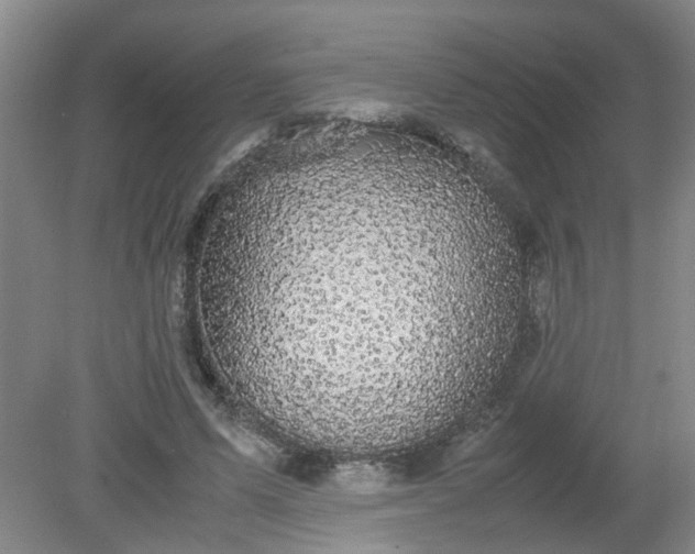 X0000079320591200612011844