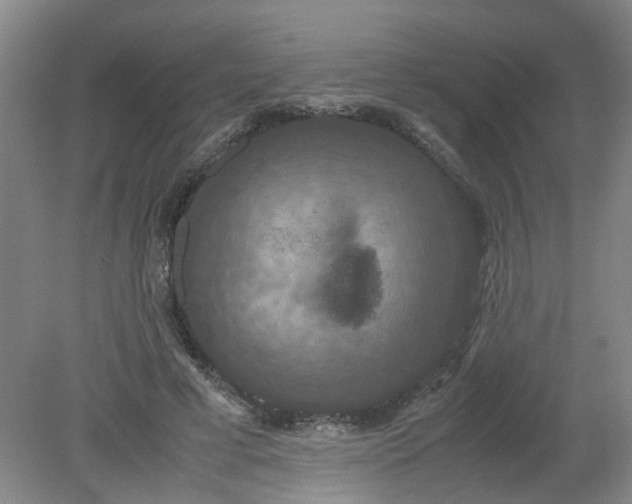 X0000079320593200612011844