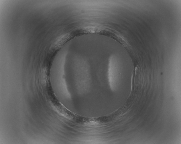 X0000079320594200612011844