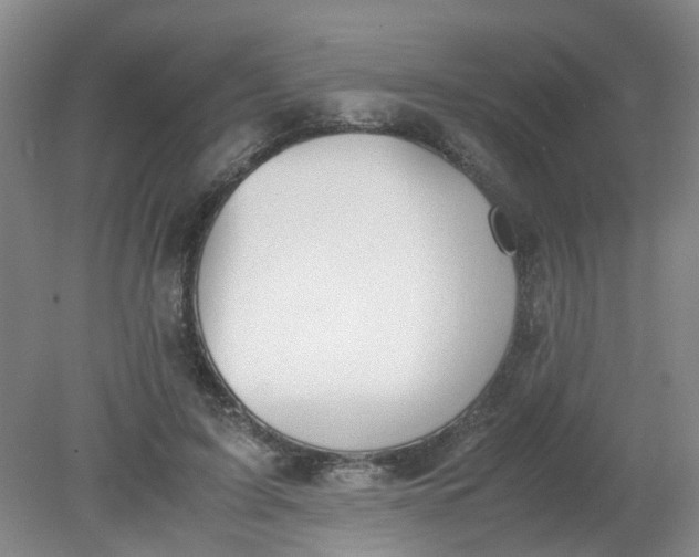 X0000079320595200612011844