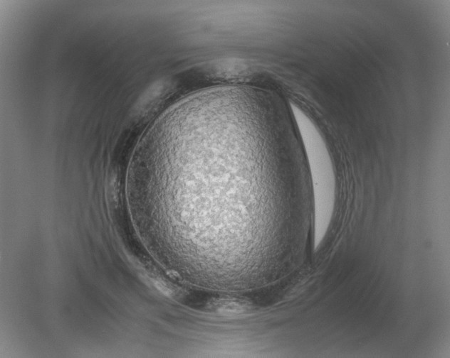 X0000079320597200612011844