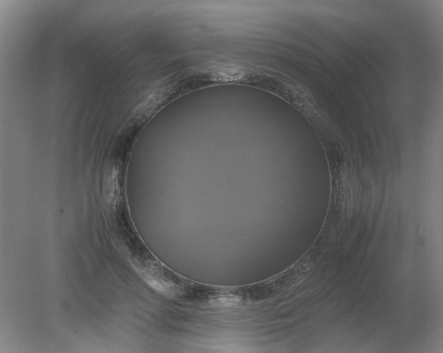 X0000079320598200612011844