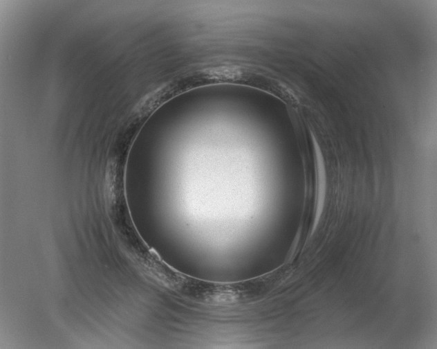 X0000079320600200612011844