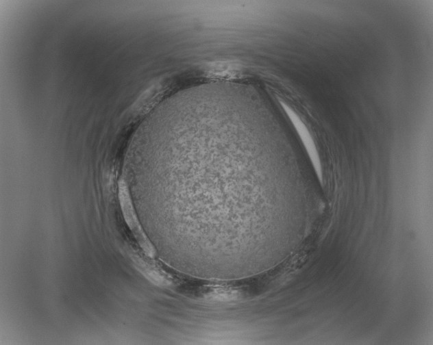 X0000079320601200612011844