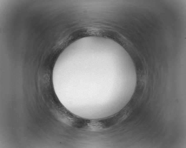 X0000079320603200612011844