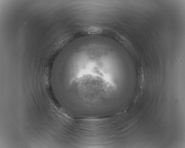 X0000079320604200612011844