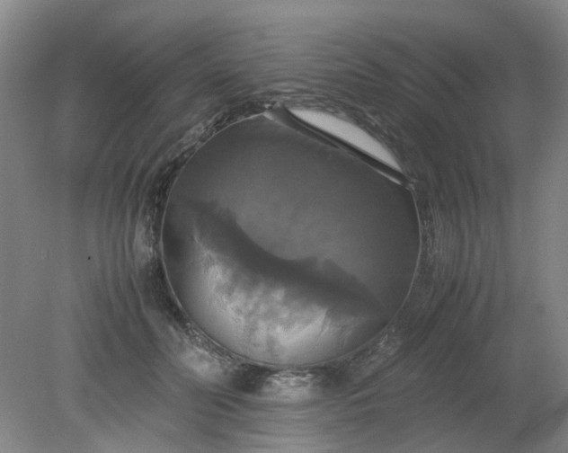 X0000079320606200612011844