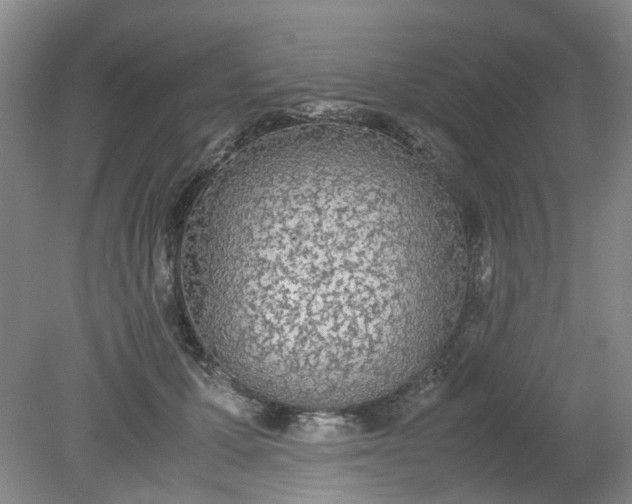 X0000079320607200612011844