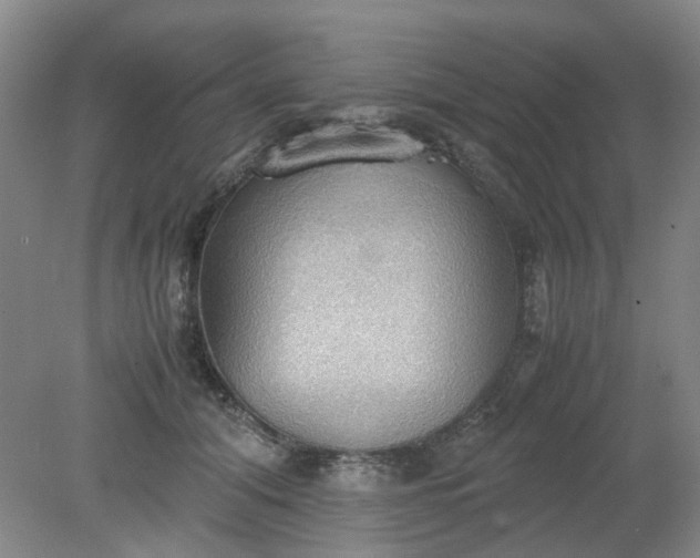 X0000079320608200612011844