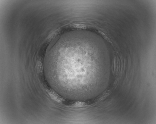 X0000079320609200612011844