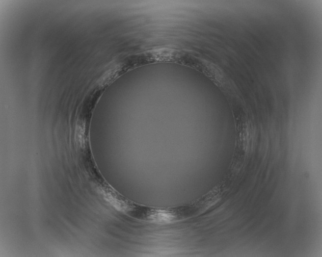 X0000079320610200612011844