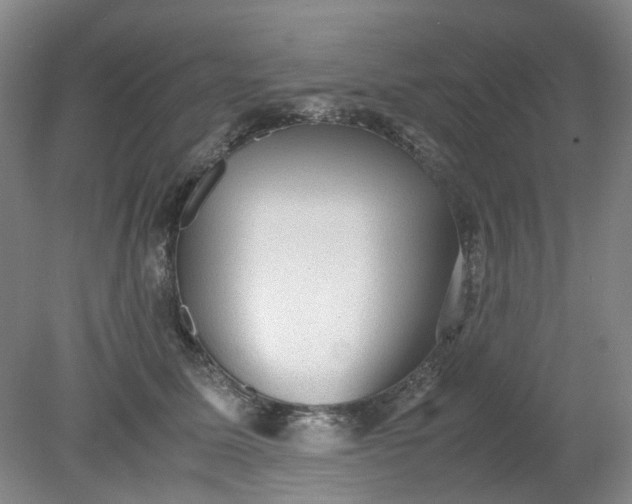 X0000079320611200612011844