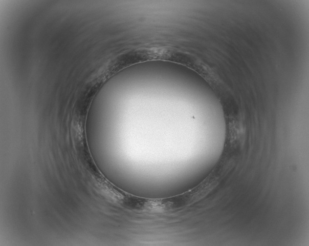 X0000079320613200612011844