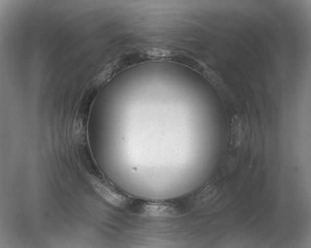 X0000079320614200612011844