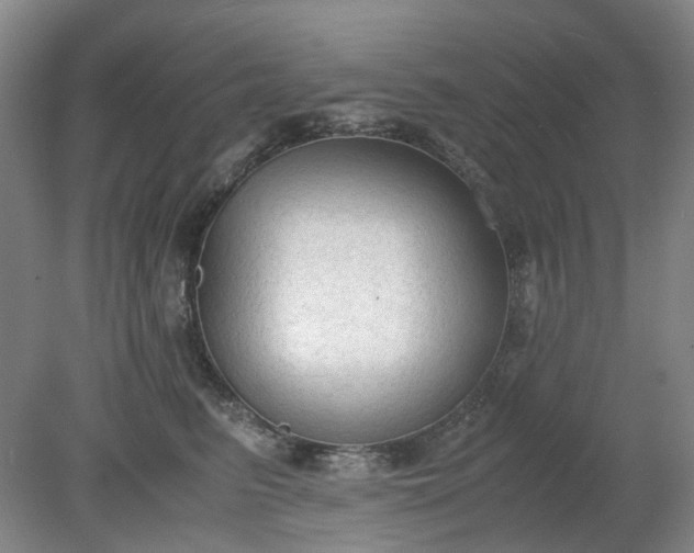 X0000079320615200612011844