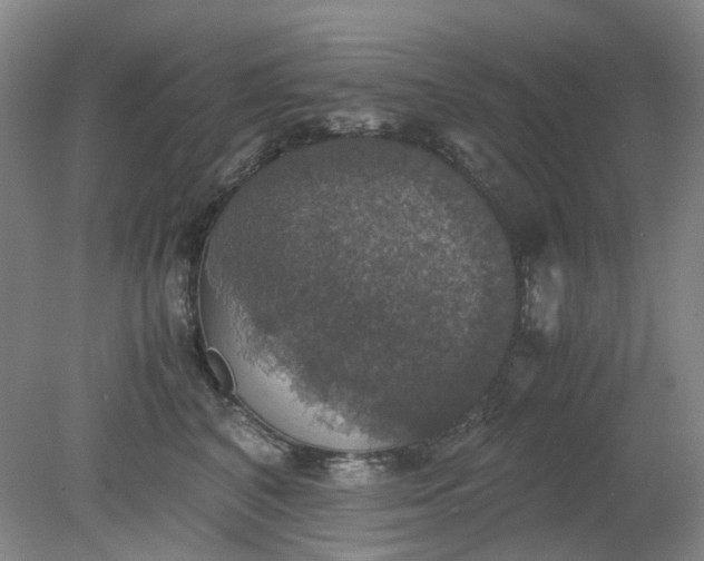 X0000079320616200612011844