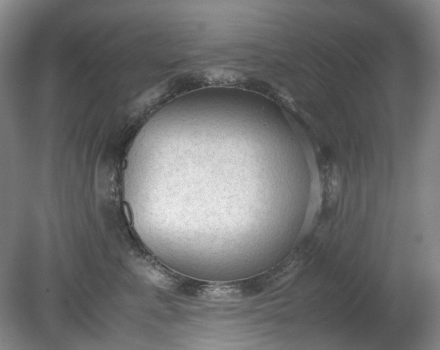 X0000079320619200612011844