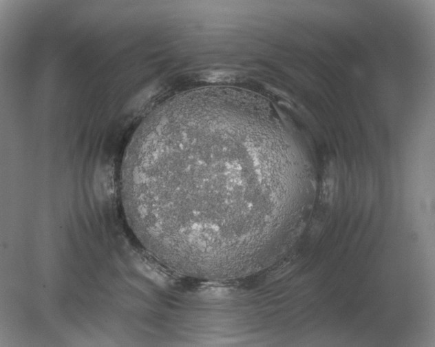 X0000079320620200612011844