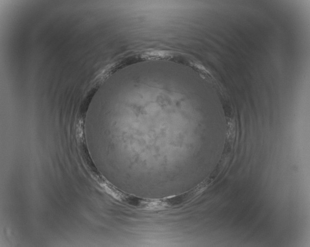 X0000079320621200612011844