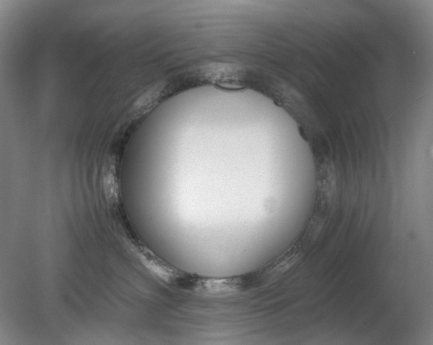 X0000079320622200612011844