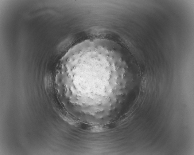 X0000079320623200612011844