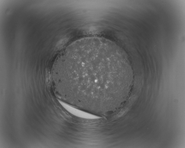 X0000079320624200612011844