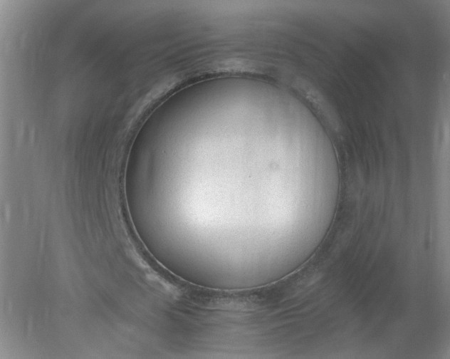 X0000079320625200612011843