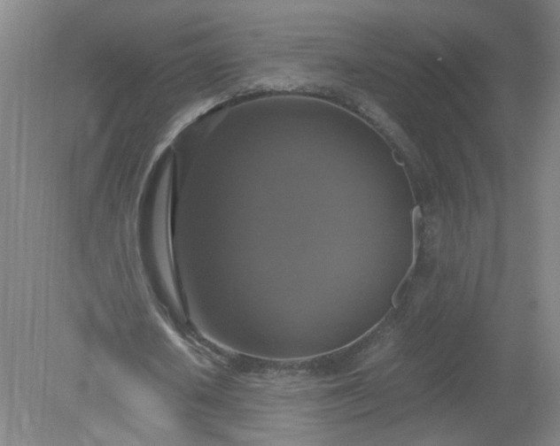 X0000079320626200612011843