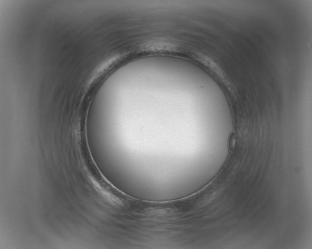 X0000079320629200612011843