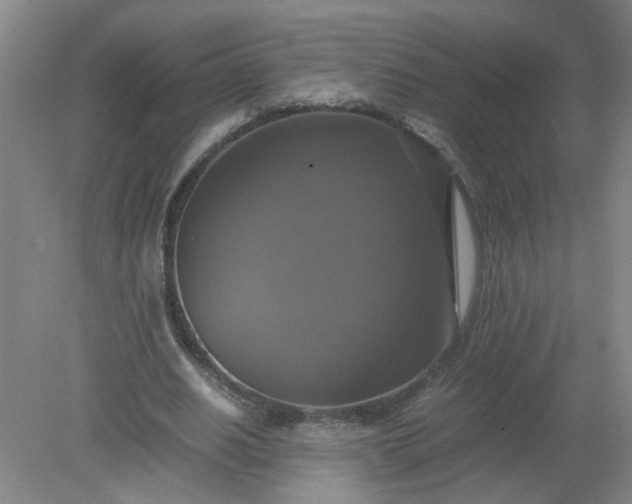 X0000079320630200612011843