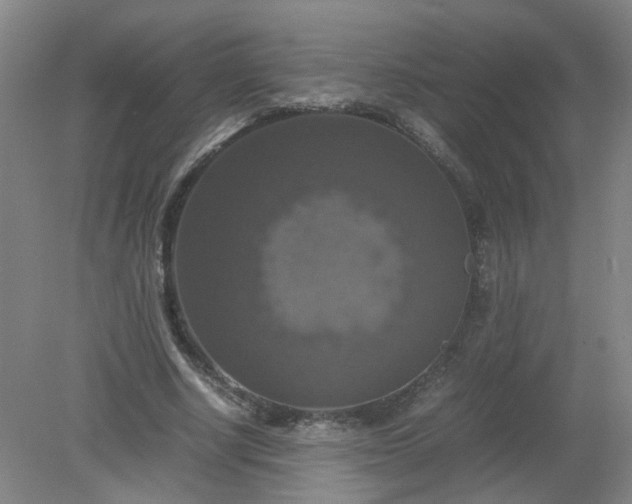 X0000079320634200612011843