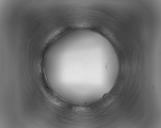 X0000079320635200612011843