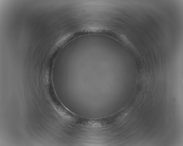 X0000079320640200612011843