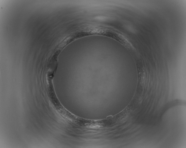 X0000079320643200612011843