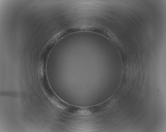 X0000079320644200612011843